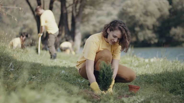 Best Lawn Drainage Solutions  in Brambleton, VA