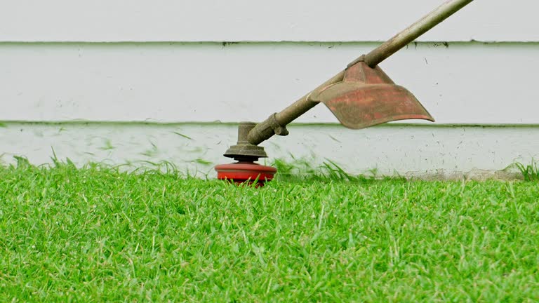Best Organic Lawn Care Solutions  in Brambleton, VA